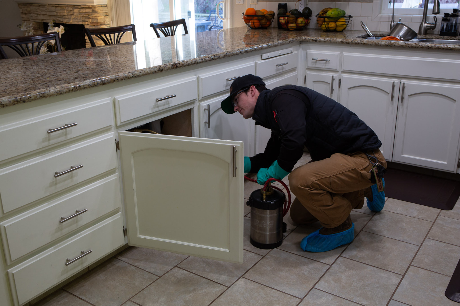 Roof rats in the attic: what actually works