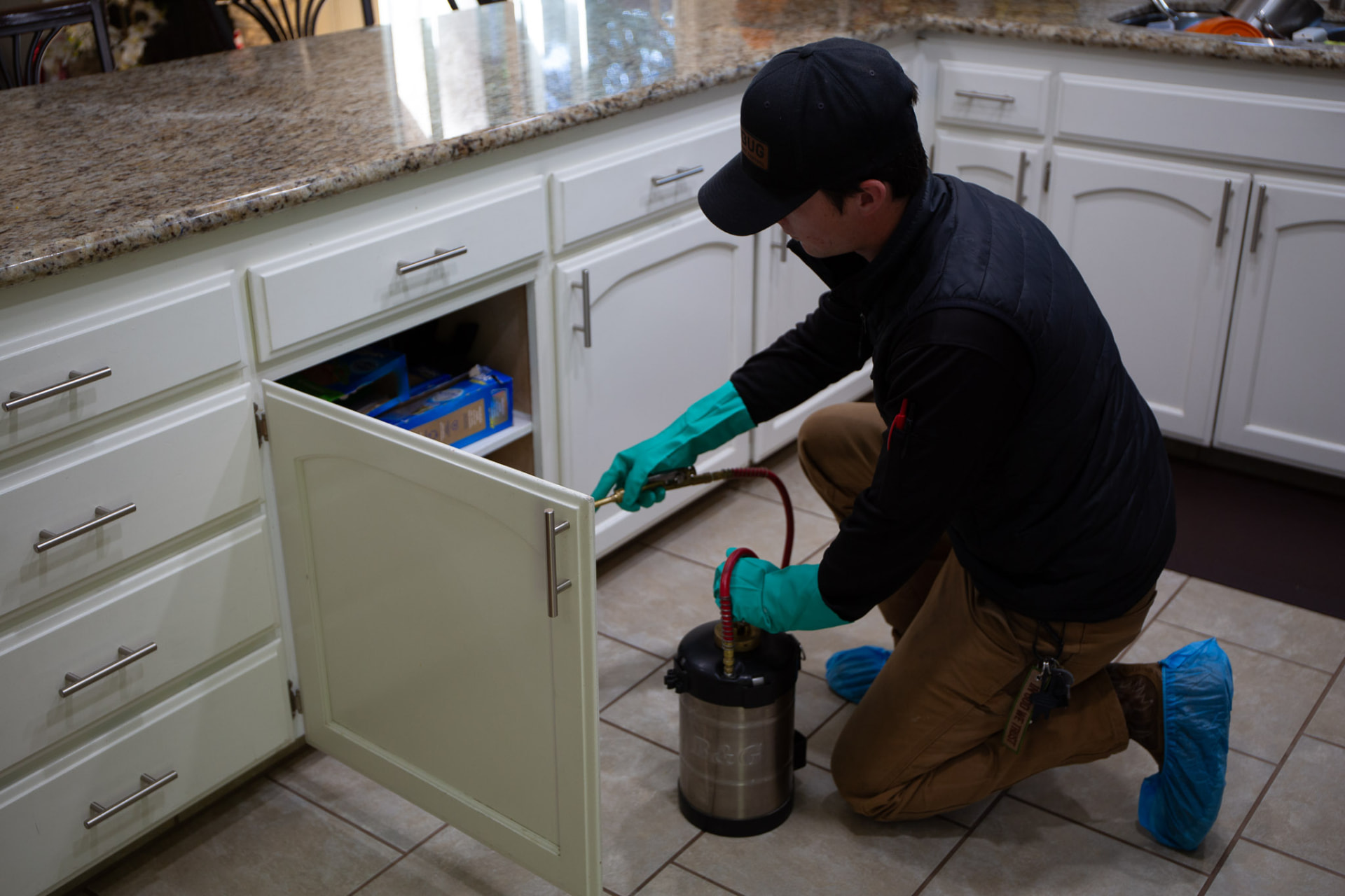A local's guide to pest control in Clovis