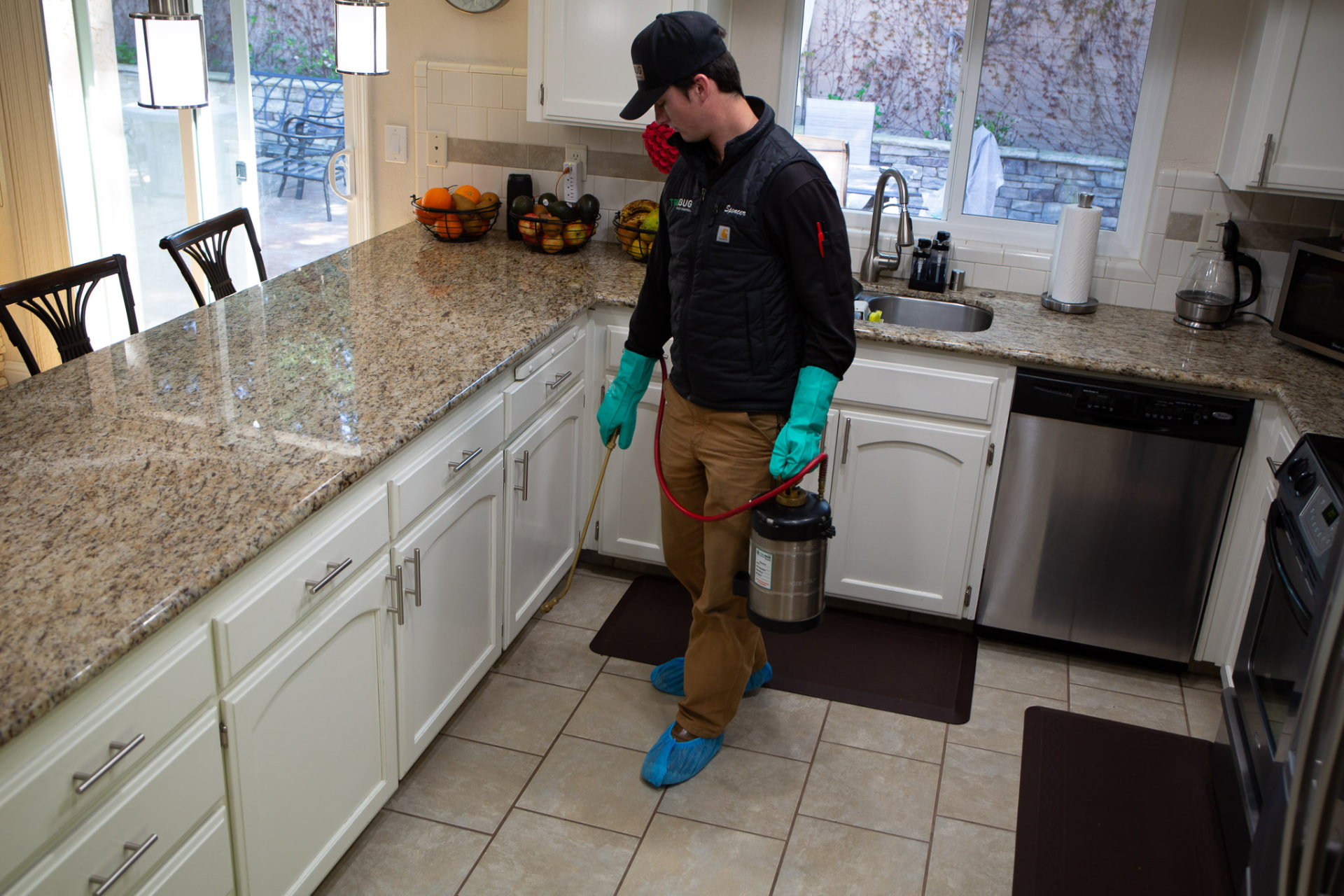DIY pest control vs. professional treatment