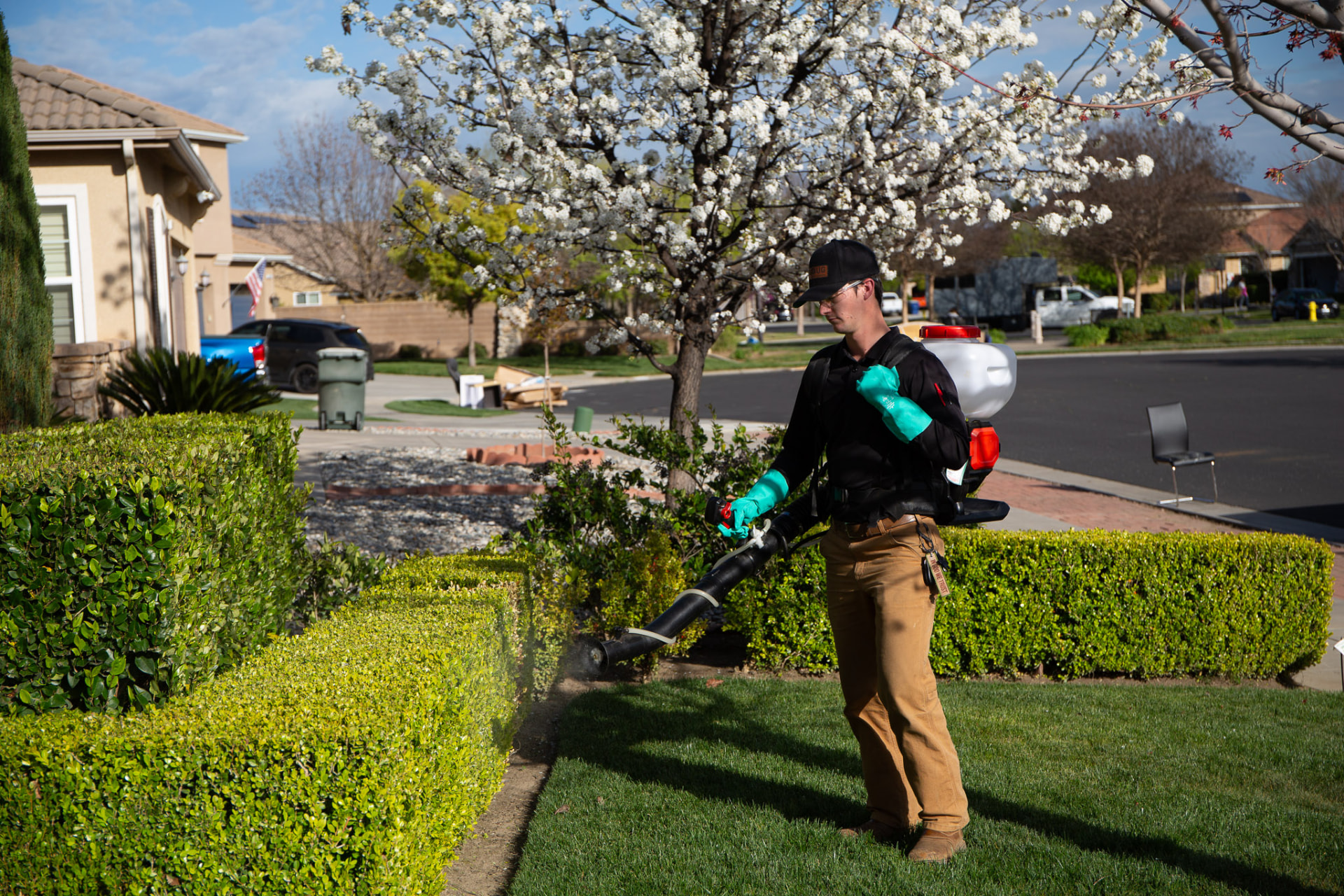 Technician treating front-yard hedges and lawn edge