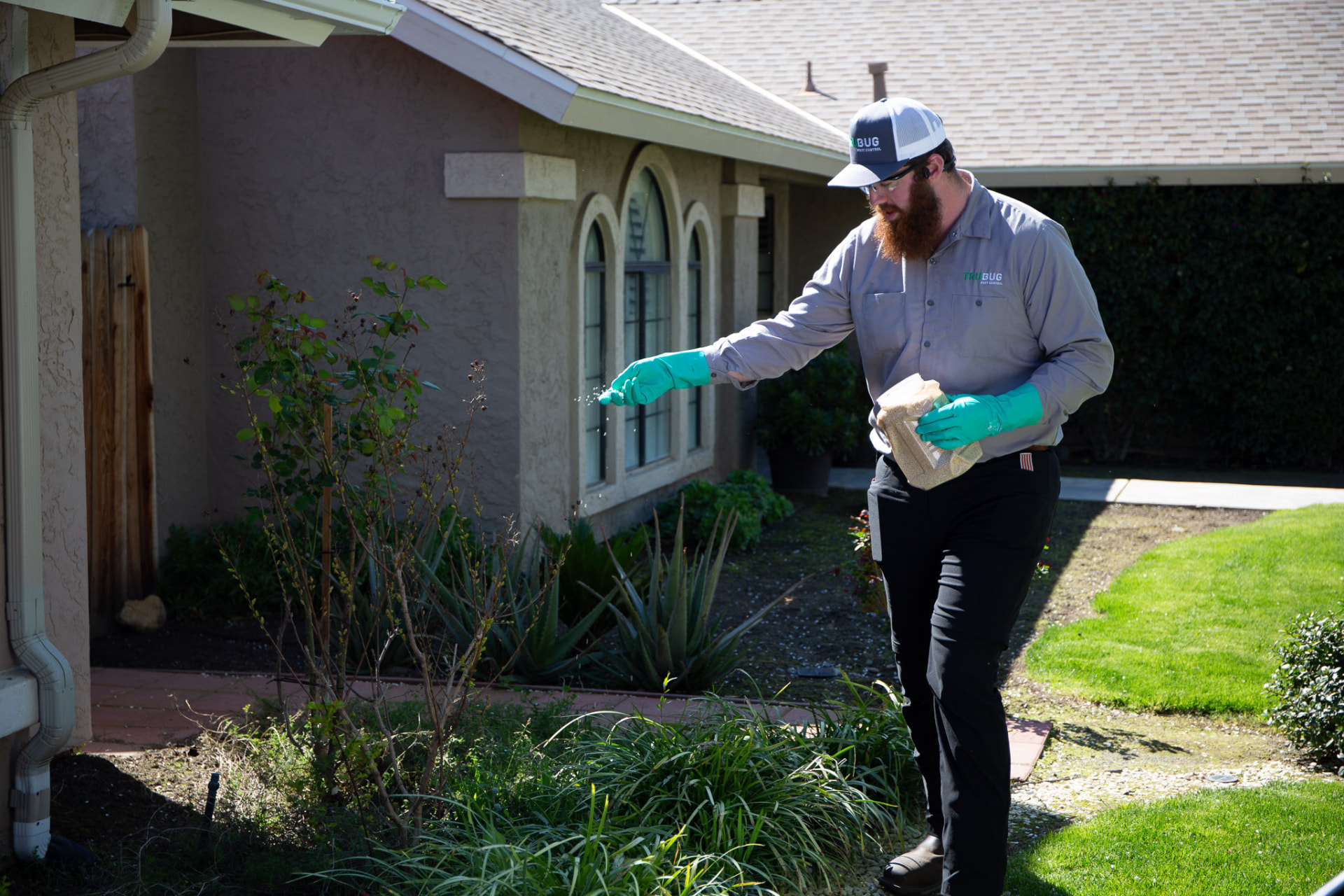 Technician spreading granules along a home's landscaping