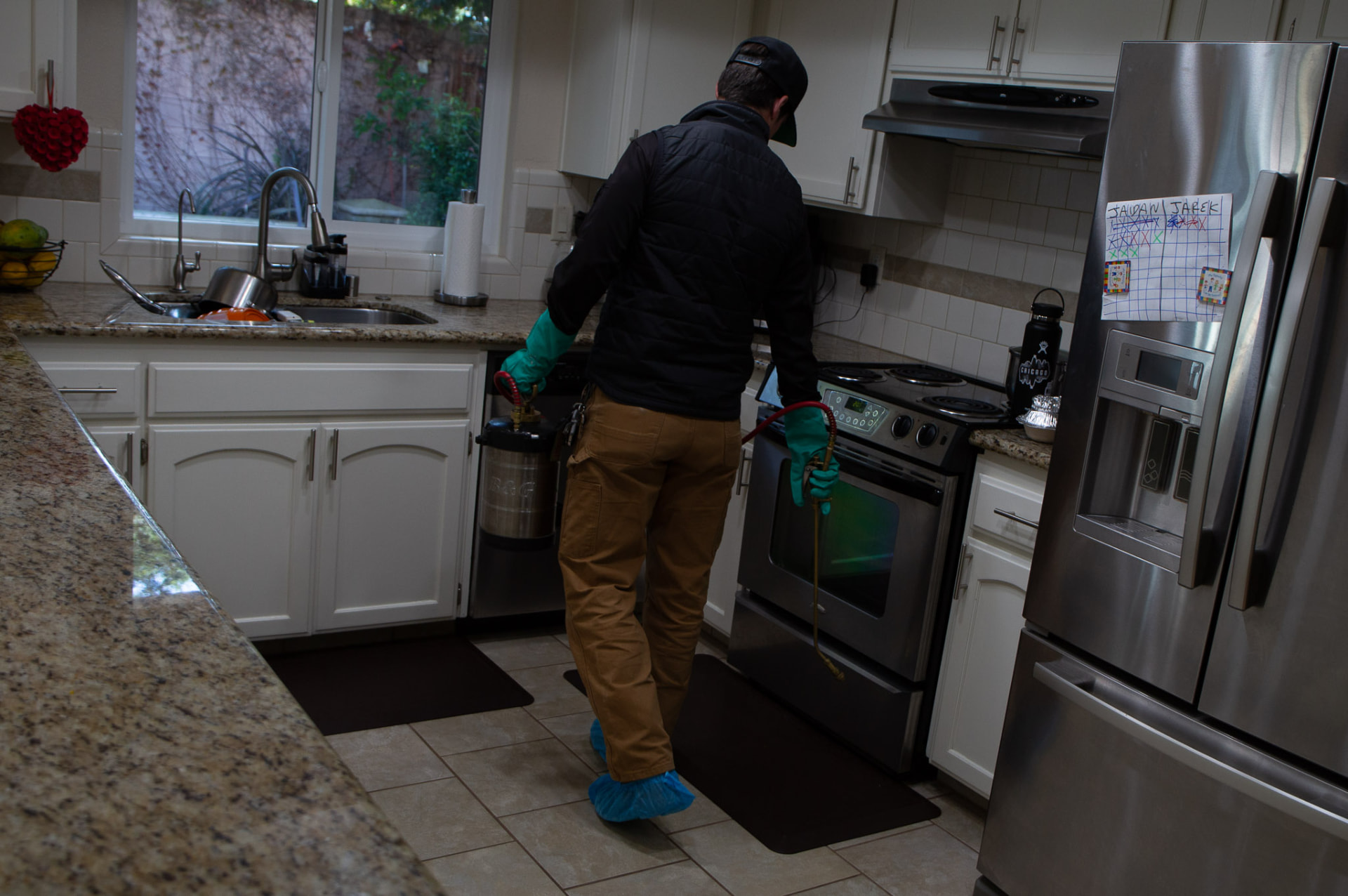Ants vs. termites: how to tell the difference