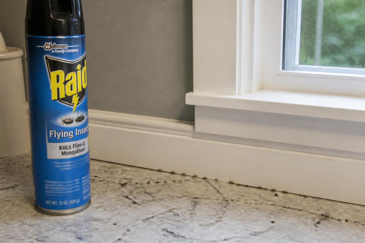 DIY Pest Control vs. Professional Treatment: The Honest Breakdown