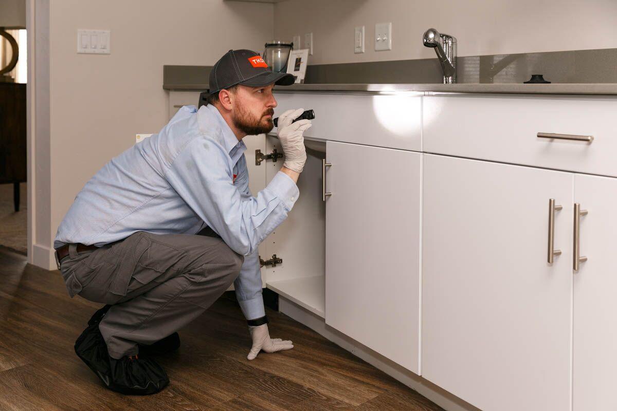 Technician inspecting potential pest entry points during home pest control services in Central Valley.