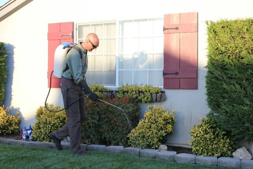 Professional German cockroach pest control in Clovis outside a residential property